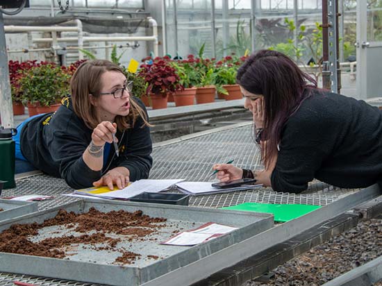 Horticulture students working in a greenhouse