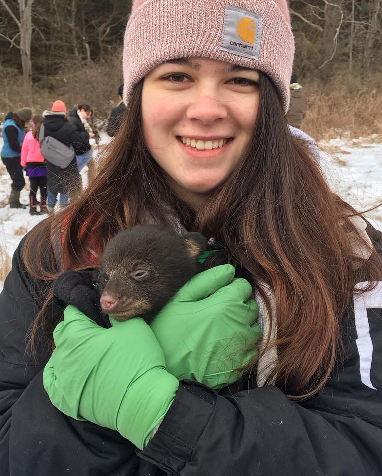 FLCC Environmental Science student holding a bear cub during a field work expedition.