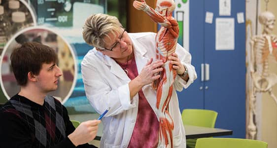 A student and tutor studying human anatomy at the FLCC Science Incubator.