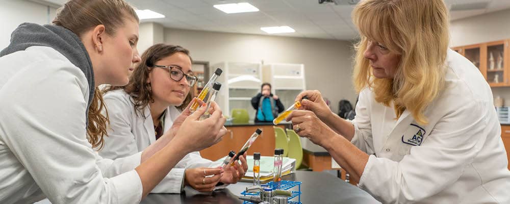 Two Liberal Arts and Sciences students and an instructor study chemical compounds together during a lab session.